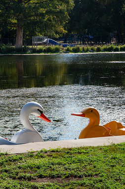 New Braunfels, Texas